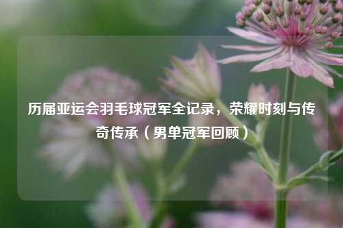历届亚运会羽毛球冠军全记录,荣耀时刻与传奇传承(男单冠军回顾)