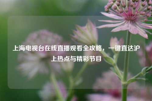 上海电视台在线直播观看全攻略,一键直达沪上热点与精彩节目