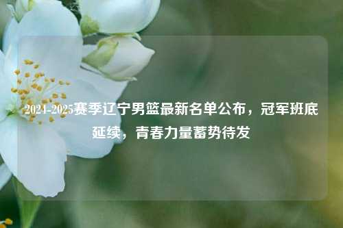 2024-2025赛季辽宁男篮最新名单公布,冠军班底延续,青春力量蓄势待发