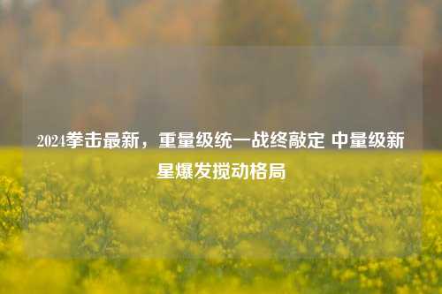 2024拳击最新,重量级统一战终敲定 中量级新星爆发搅动格局