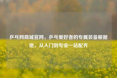 乒乓网商城官网,乒乓爱好者的专属装备根据地,从入门到专业一站配齐
