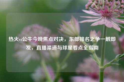 热火vs公牛今晚焦点对决,东部排名之争一触即发,直播渠道与球星看点全指南