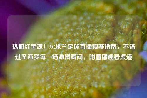 热血红黑魂!AC米兰足球直播观赛指南,不错过圣西罗每一场 瞬间,附直播观看渠道