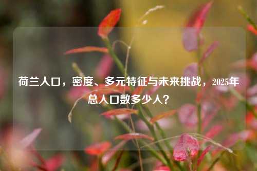 荷兰人口,密度、多元特征与未来挑战,2025年总人口数多少人?