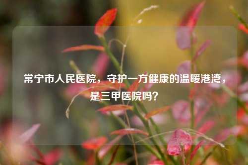 常宁市人民医院,守护一方健康的温暖港湾,是三甲医院吗?