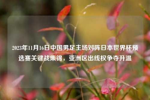 2023年11月16日中国男足主场对阵日本世界杯预选赛关键战集锦,亚洲区出线权争夺升温