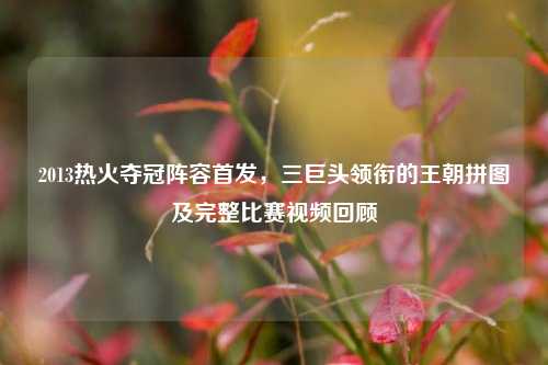 2013热火夺冠阵容首发,三巨头领衔的王朝拼图及完整比赛视频回顾