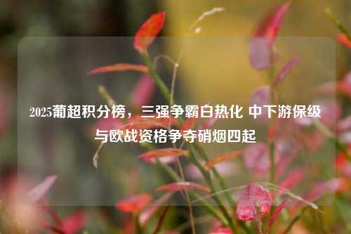 2025葡超积分榜,三强争霸白热化 中下游保级与欧战资格争夺硝烟四起