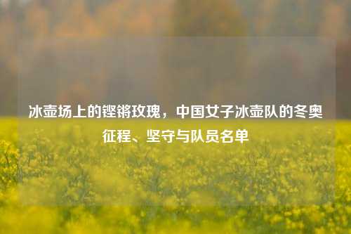 冰壶场上的铿锵玫瑰,中国女子冰壶队的冬奥征程、坚守与队员名单
