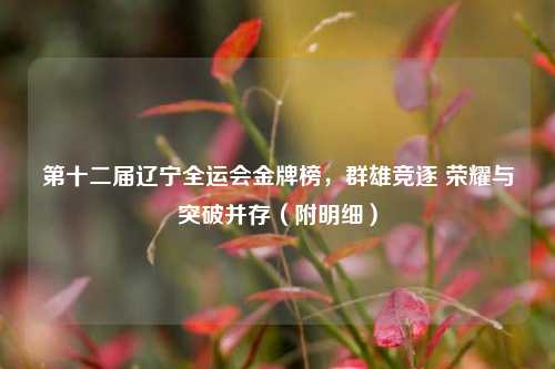 第十二届辽宁全运会金牌榜,群雄竞逐 荣耀与突破并存(附明细)