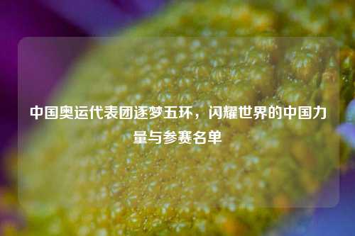 中国奥运代表团逐梦五环,闪耀世界的中国力量与参赛名单