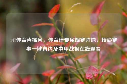 147体育直播网,体育迷专属观赛阵地,精彩赛事一键直达及中甲战报在线观看