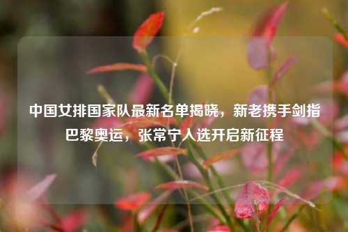中国女排国家队最新名单揭晓,新老携手剑指巴黎奥运,张常宁入选开启新征程