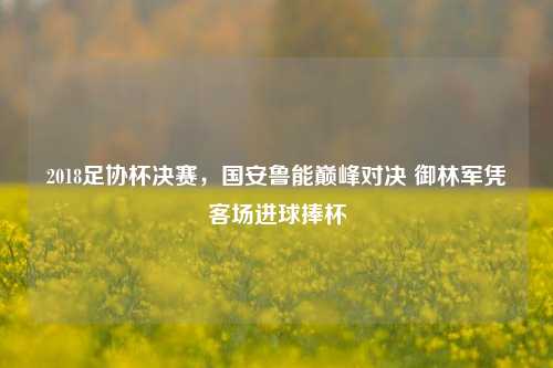 2018足协杯决赛,国安鲁能巅峰对决 御林军凭客场进球捧杯