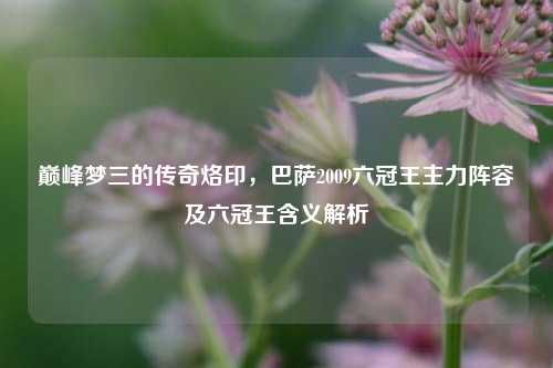 巅峰梦三的传奇烙印,巴萨2009六冠王主力阵容及六冠王含义解析