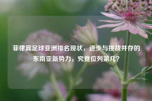 菲律宾足球亚洲排名现状,进步与挑战并存的东南亚新势力,究竟位列第几?