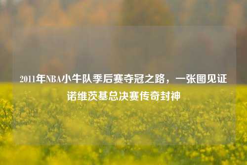 2011年NBA小牛队季后赛夺冠之路,一张图见证诺维茨基总决赛传奇封神