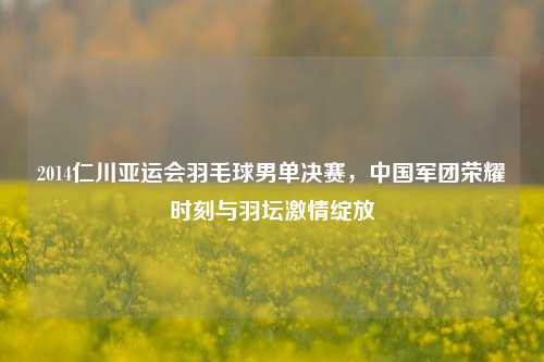 2014仁川亚运会羽毛球男单决赛,中国军团荣耀时刻与羽坛 绽放