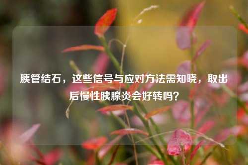 胰管结石,这些信号与应对 需知晓,取出后慢性胰腺炎会好转吗?