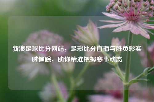 新浪足球比分网站,足彩比分直播与胜负彩实时追踪,助你精准把握赛事动态