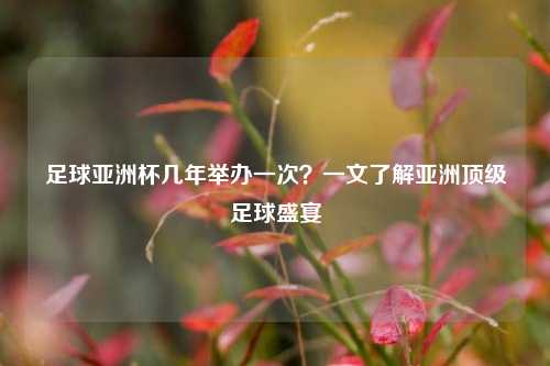 足球亚洲杯几年举办一次?一文了解亚洲顶级足球盛宴