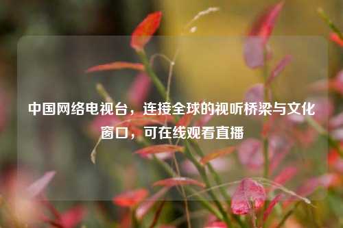 中国 电视台,连接全球的视听桥梁与文化窗口,可在线观看直播