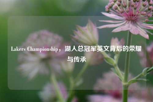 Lakers Championship,湖人总冠军英文背后的荣耀与传承