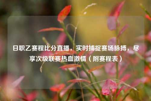 日职乙赛程比分直播,实时捕捉赛场脉搏,尽享次级联赛热血 (附赛程表)