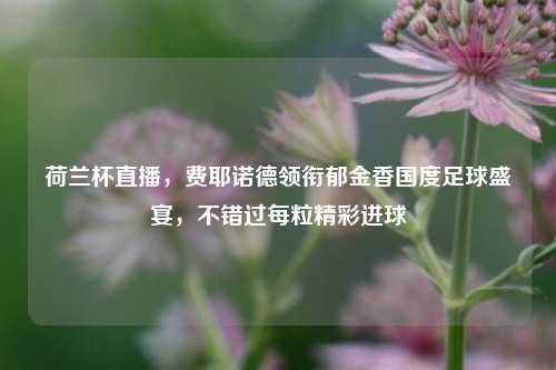 荷兰杯直播,费耶诺德领衔郁金香国度足球盛宴,不错过每粒精彩进球