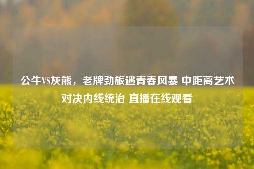 公牛VS灰熊,老牌劲旅遇青春风暴 中距离艺术对决内线统治 直播在线观看