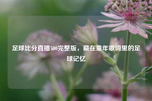 足球比分直播500完整版,藏在童年歌词里的足球记忆