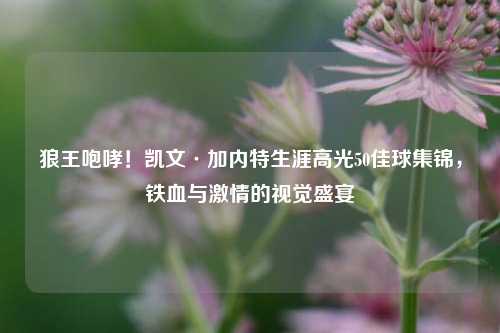 狼王咆哮!凯文·加内特生涯高光50佳球集锦,铁血与 的视觉盛宴