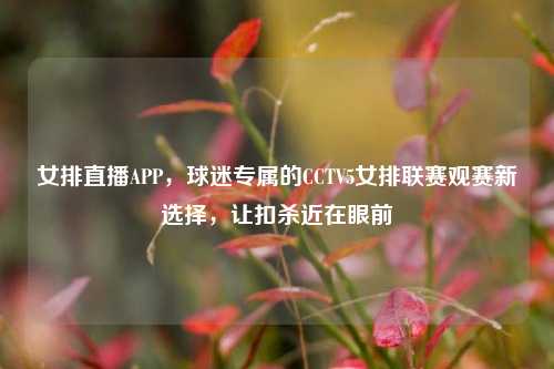 女排直播APP,球迷专属的CCTV5女排联赛观赛新选择,让扣杀近在眼前