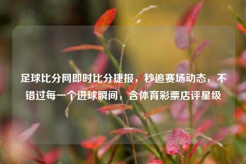 足球比分网即时比分捷报,秒追赛场动态,不错过每一个进球瞬间,含体育彩票店评星级