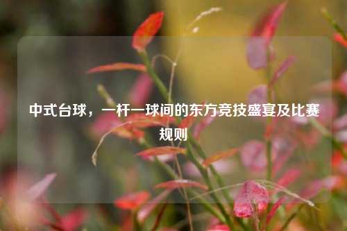 中式台球,一杆一球间的东方竞技盛宴及比赛规则