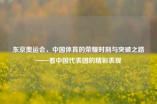 东京奥运会,中国体育的荣耀时刻与突破之路——看中国代表团的精彩表现