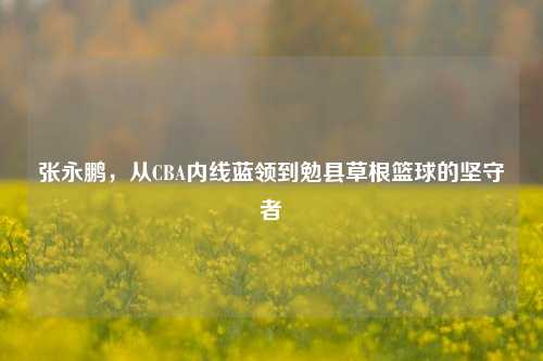 张永鹏,从CBA内线蓝领到勉县草根篮球的坚守者