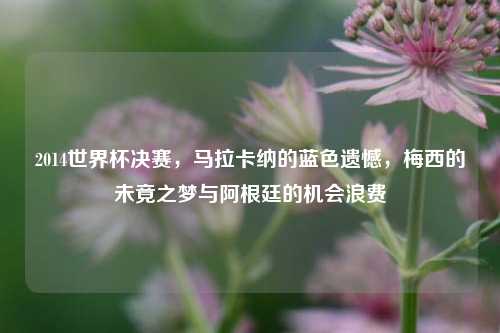 2014世界杯决赛,马拉卡纳的蓝色遗憾,梅西的未竟之梦与阿根廷的机会浪费