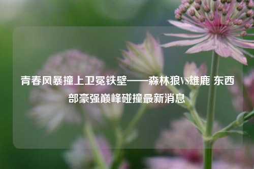 青春风暴撞上卫冕铁壁——森林狼VS雄鹿 东西部豪强巅峰碰撞最新消息