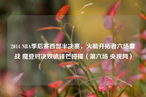2014 NBA季后赛西部半决赛,火箭开拓者六场鏖战 魔登对决双德锋芒碰撞(第六场 央视网)