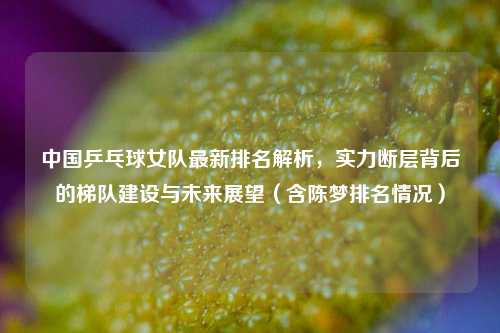 中国乒乓球女队最新排名解析,实力断层背后的梯队建设与未来展望(含陈梦排名情况)