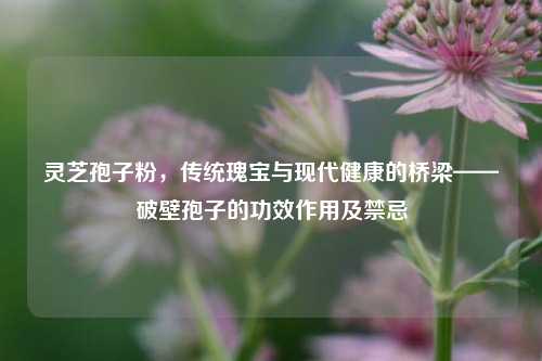 灵芝孢子粉,传统瑰宝与现代健康的桥梁——破壁孢子的功效作用及禁忌