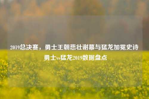 2019总决赛,勇士王朝悲壮谢幕与猛龙加冕史诗 勇士vs猛龙2019数据盘点