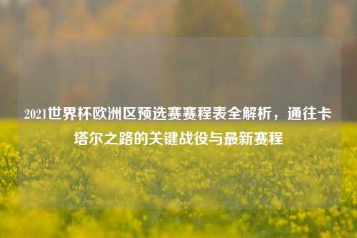 2021世界杯欧洲区预选赛赛程表全解析,通往卡塔尔之路的关键战役与最新赛程