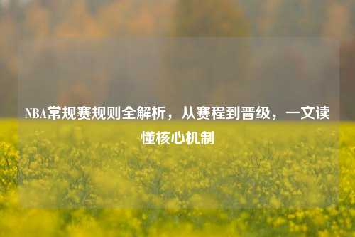 NBA常规赛规则全解析,从赛程到晋级,一文读懂核心机制