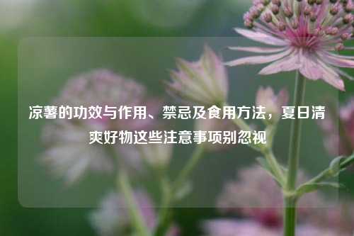 凉薯的功效与作用、禁忌及食用 ,夏日清爽好物这些注意事项别忽视
