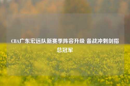 CBA广东宏远队新赛季阵容升级 备战冲刺剑指总冠军