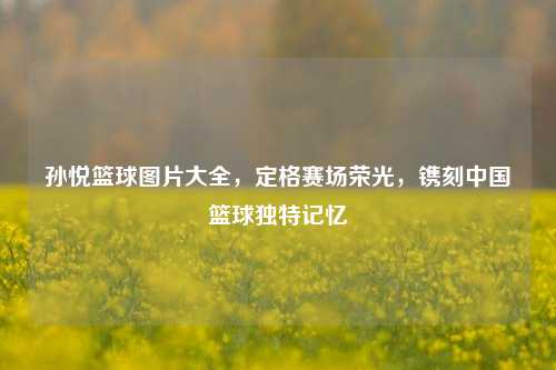 孙悦篮球图片大全,定格赛场荣光,镌刻中国篮球独特记忆