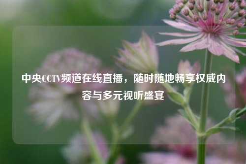 中央CCTV频道在线直播,随时随地畅享权威内容与多元视听盛宴