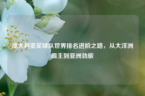 澳大利亚足球队世界排名进阶之路,从大洋洲霸主到亚洲劲旅